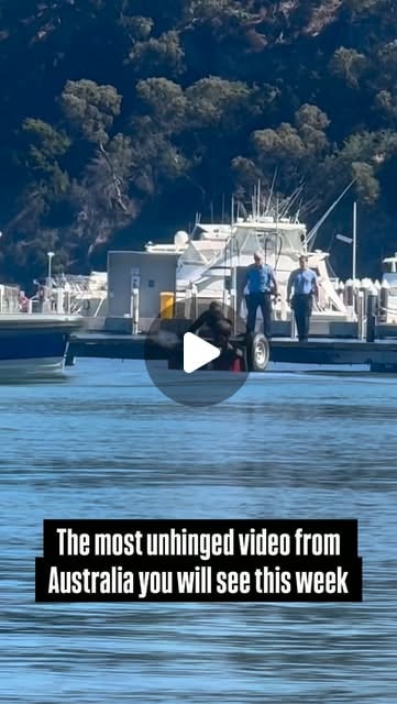 Two men in blue shirts stand on a marina pontoon beside a trailer as a person crouches at the water's edge, boats and bushland behind.