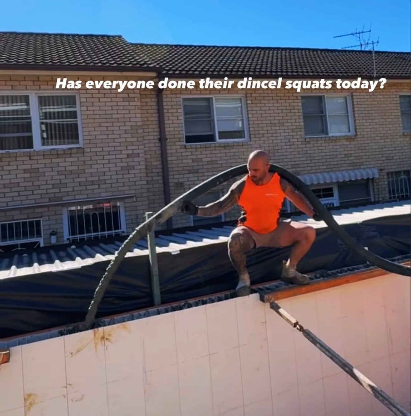 A bald, tattooed concrete pumper in an orange singlet squats on top of a retaining wall with a concrete hose draped over his shoulders, with brick townhouses behind him and the caption 'Has everyone done their dincel squats today?'